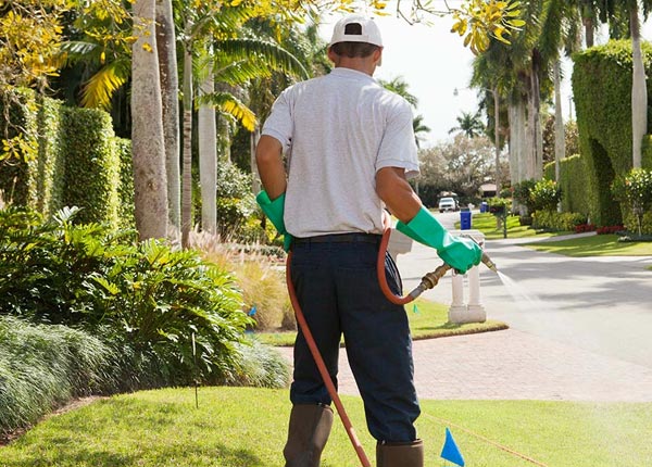 About Lincoln VA Pest Control